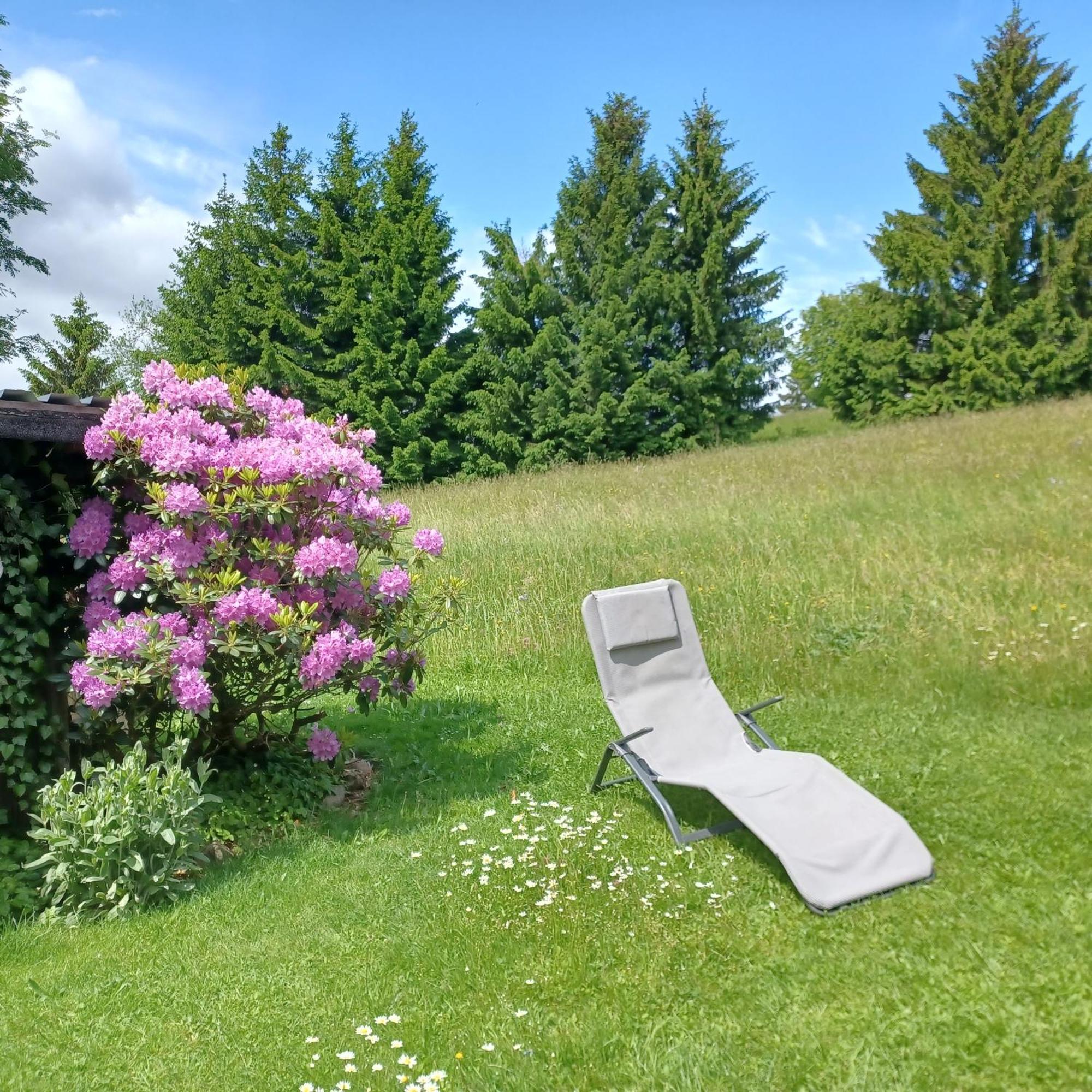 Apartment “haus Rita” *